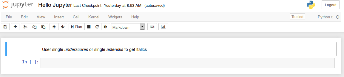Italicized Text Output in Jupyter Notebook